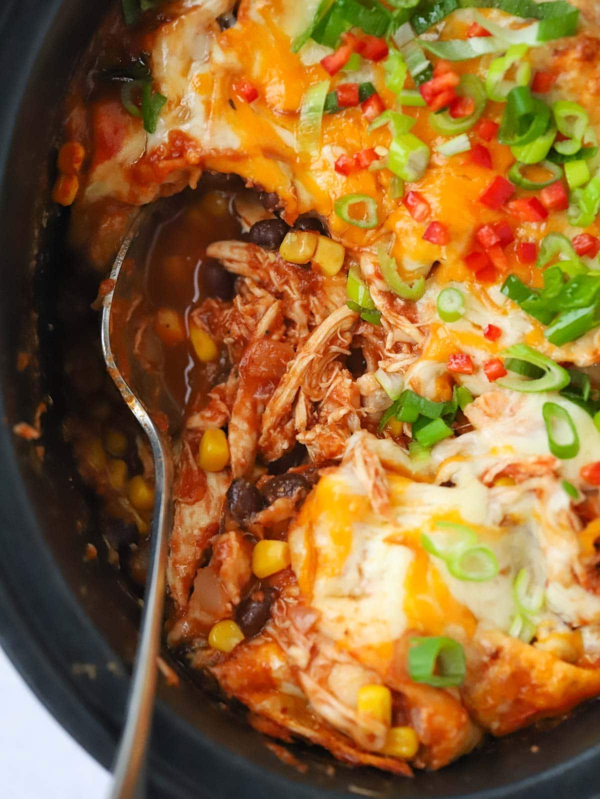 Enchiladas di Pollo {Ricetta per Slow Cooker} 2 Ricetta Enchiladas di Pollo alla Slow Cooker