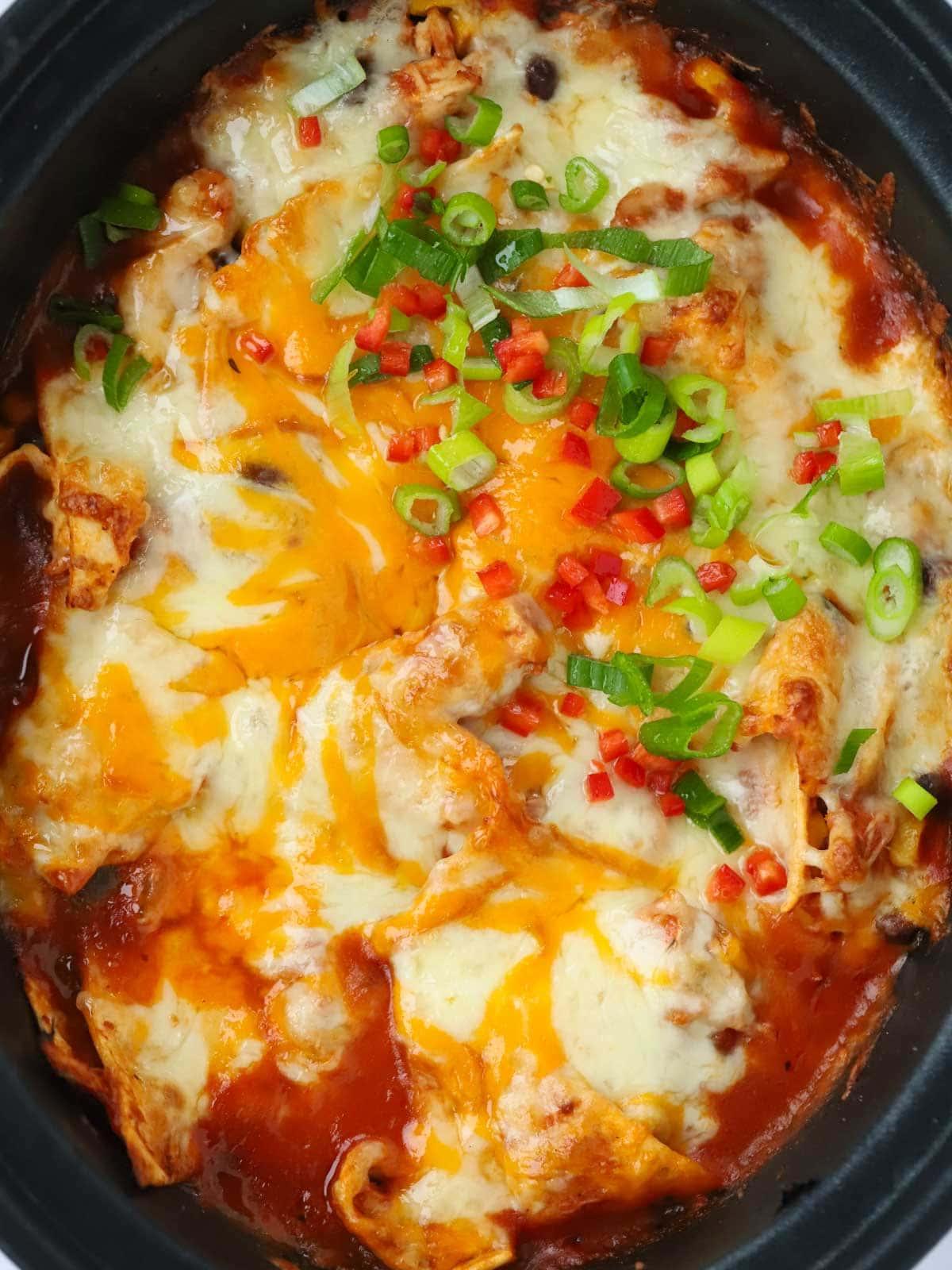 Enchiladas di Pollo {Ricetta per Slow Cooker} 3 Enchiladas di Pollo in Cottura Lenta