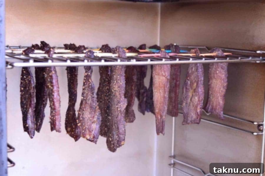 Beef jerky hanging from rack in smoker.
