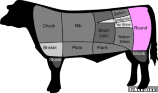 Drawing of a cow showing the beef rounds come from the hind quarters of the animal, highlighting lean cuts