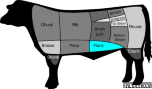 A drawing of a cow showing where the flank steak is from, the belly, indicating its fibrous nature