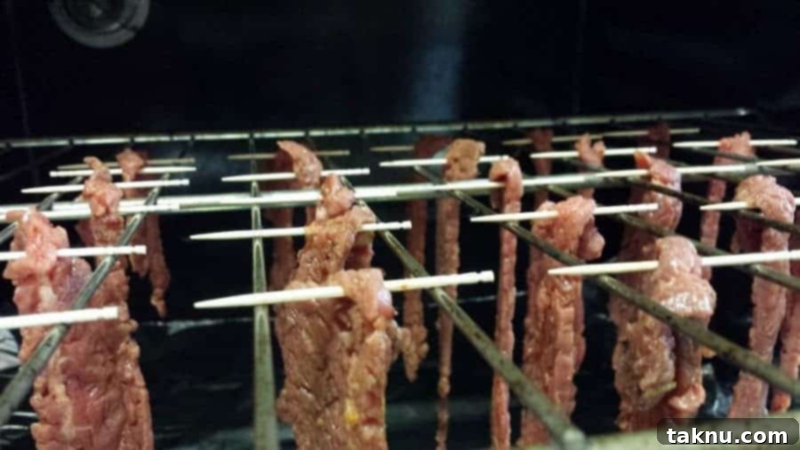 Mastering Oven Beef Jerky at Home 6 FlankHangingOven