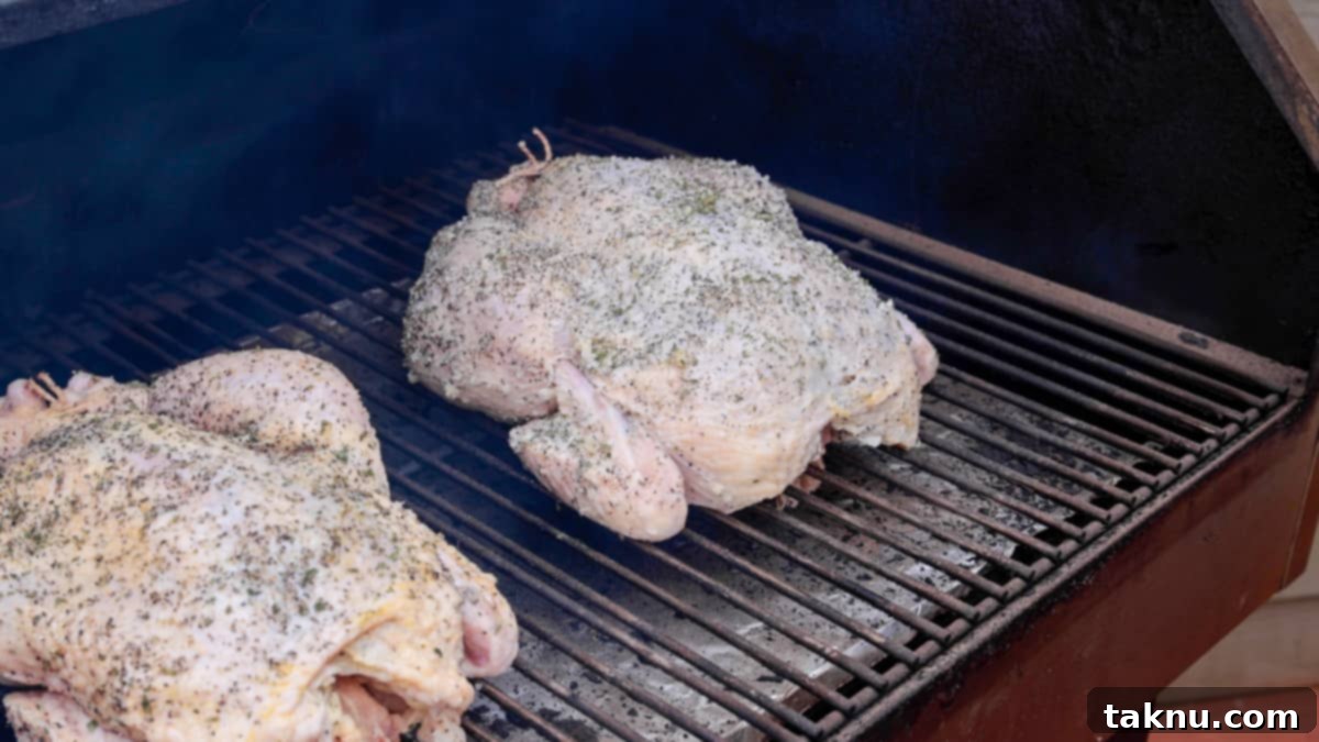 Two seasoned chickens on smoker rack starting to cook