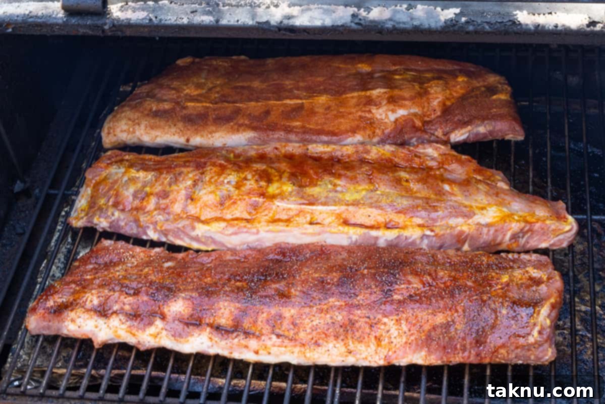 Three seasoned racks of pork ribs neatly arranged on the grates inside a smoker, beginning the smoking process.