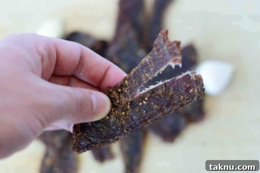 Close-up of finished Jamaican Jerk Beef Jerky, torn to reveal the characteristic white fibers, confirming optimal dryness