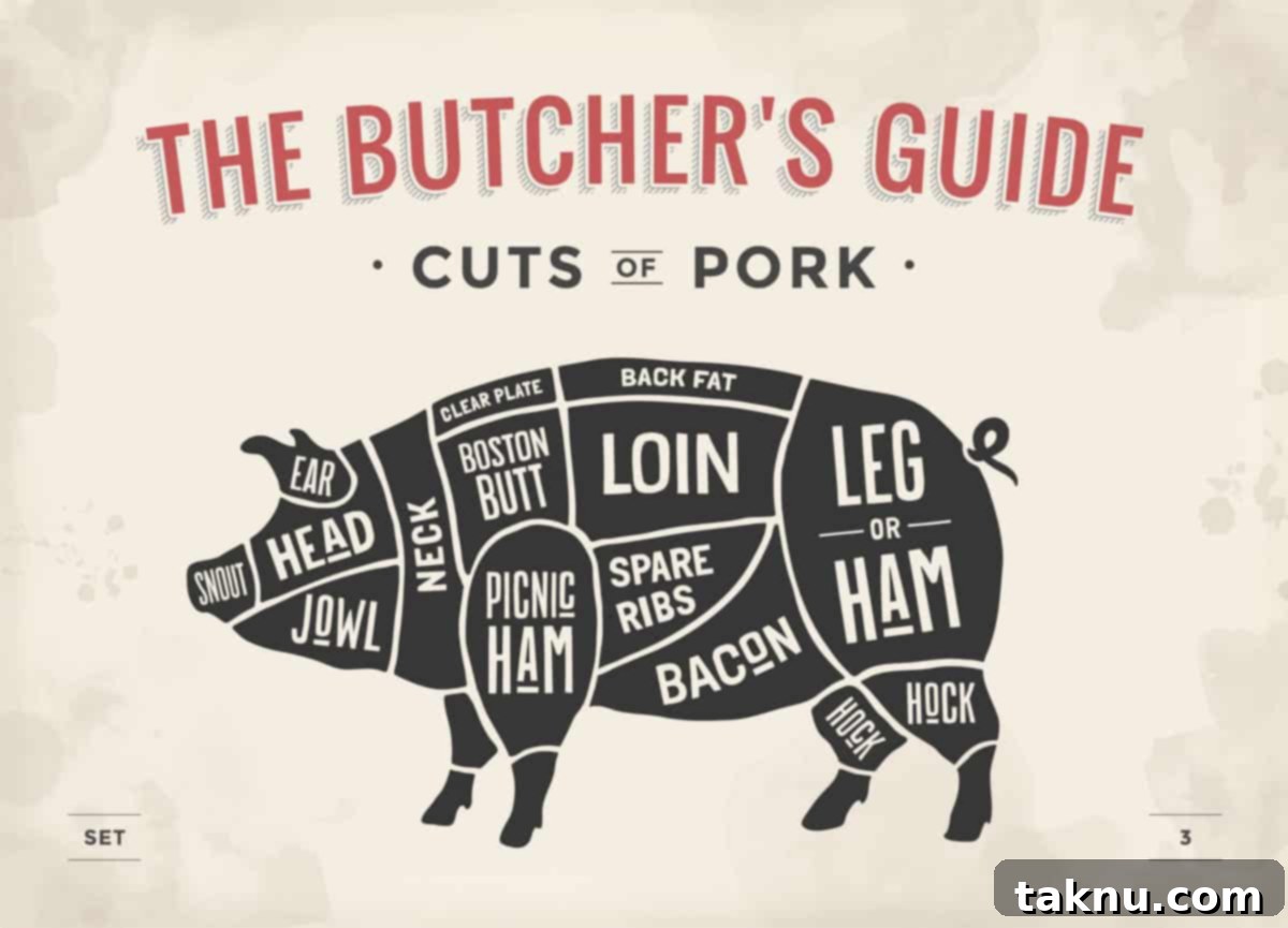 Diagram of a pig illustrating the various cuts of pork, highlighting the tenderloin's location
