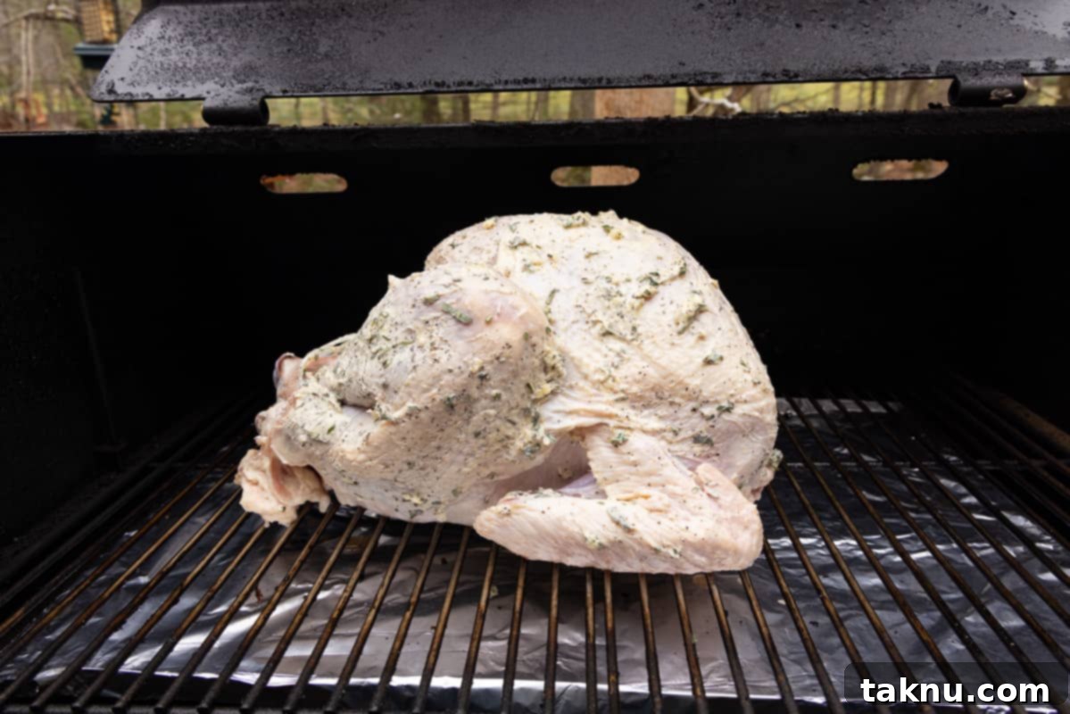 Crispy Skinned Smoked Turkey Masterpiece 8 A raw, seasoned turkey, buttered and ready for smoking, placed directly on the grill grates of a smoker.