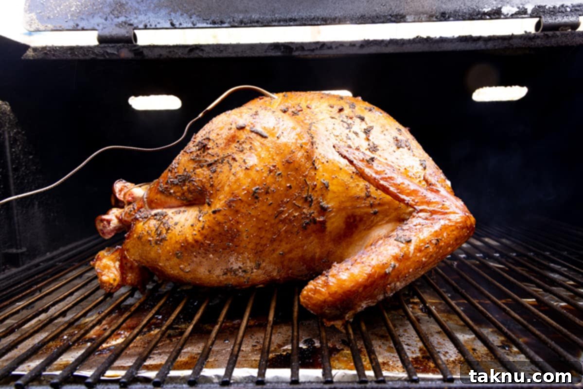 Crispy Skinned Smoked Turkey Masterpiece 9 A smoked turkey on the grill grates, with an internal probe thermometer accurately placed in the thickest part of the breast.