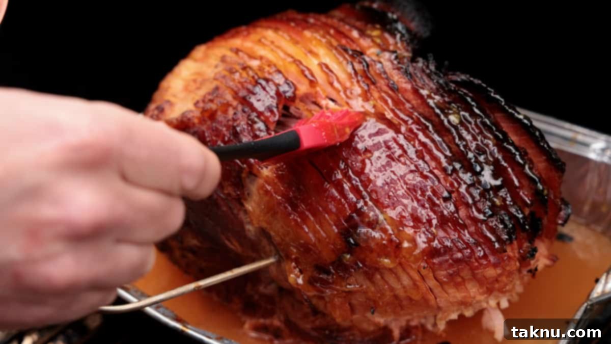 Sweet Apricot Smoked Ham 6 A basting brush applying sweet apricot glaze generously onto a spiral ham in an aluminum pan on a grill.