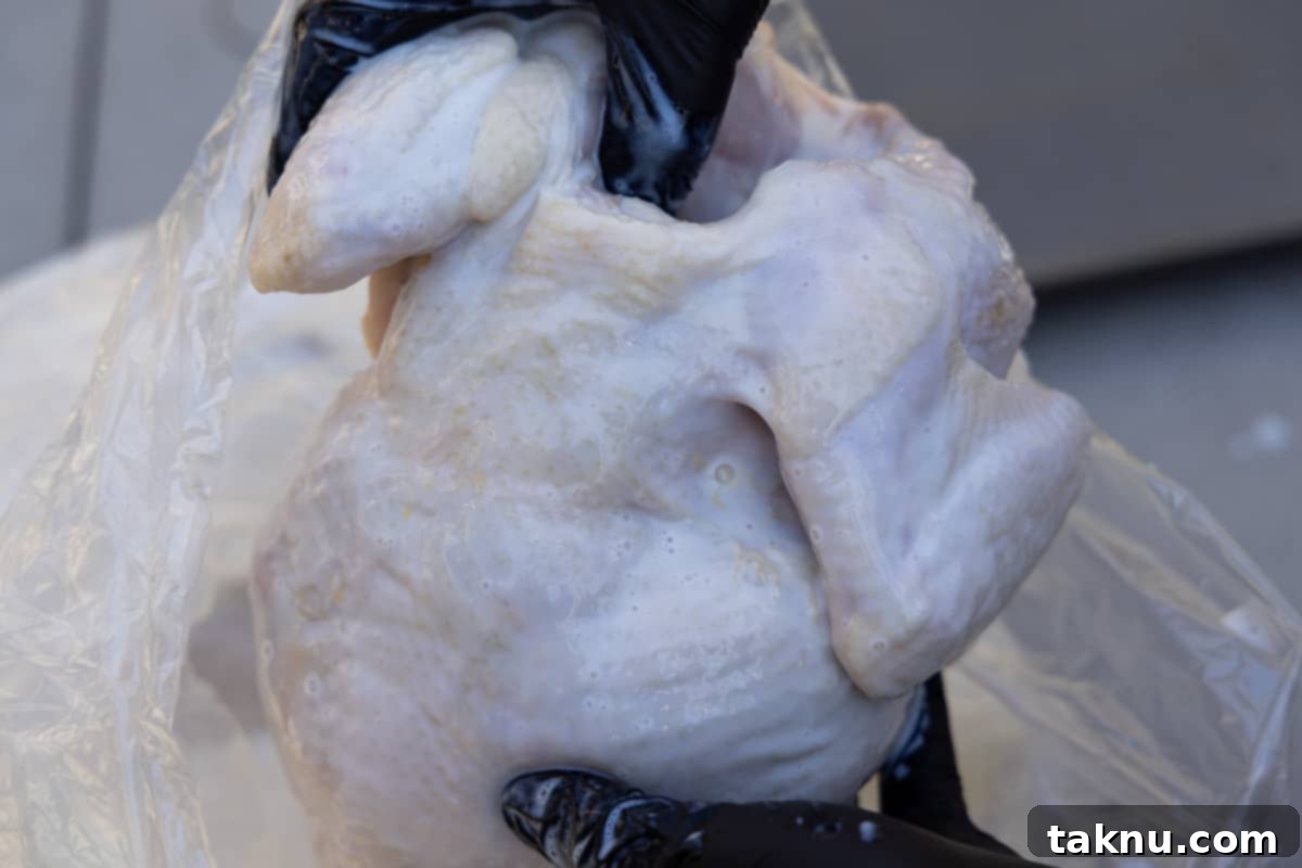 Traeger Smoked Buttermilk Chicken 4 Whole chicken submerged in a buttermilk brine inside a roaster bag.