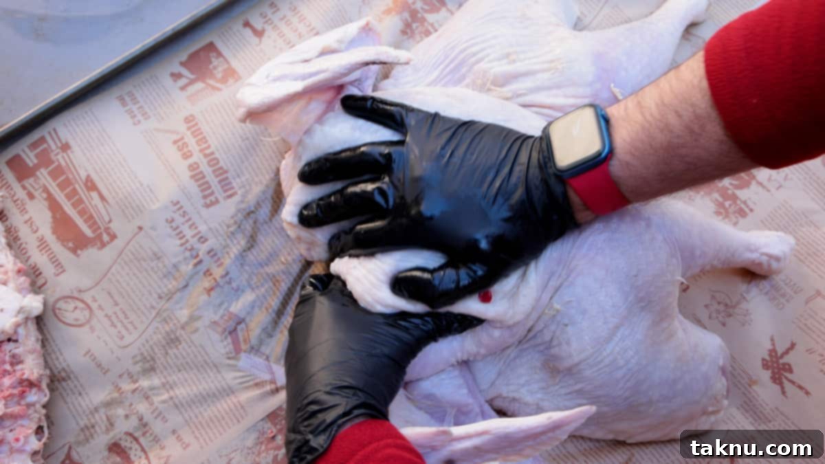 Fiery Sriracha Smoked Spatchcock Turkey 5 Pushing down with palm of hand wearing black gloves on a spatchcock turkey to flatten for cooking.