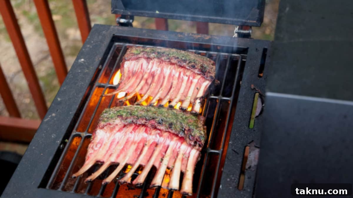 Two racks of lamb searing intensely over high heat on a grill, developing a rich, dark brown crust and appetizing char marks.