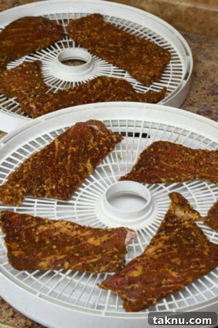 Steakhouse Dry Rub Jerky 7 Steak Dry Rub on Two Trays