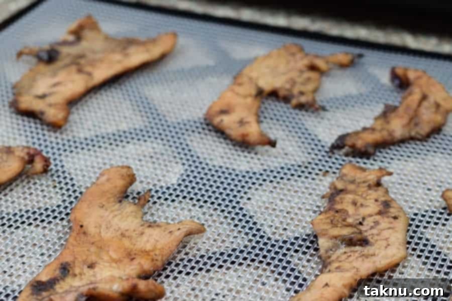 Cranberry Turkey Jerky on Trays