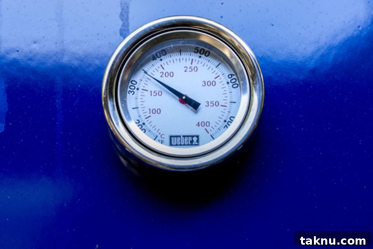 Grill thermometer showing the internal temperature preheated to 350°F (175°C).