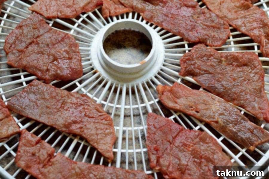 Bayou Cajun Dehydrator