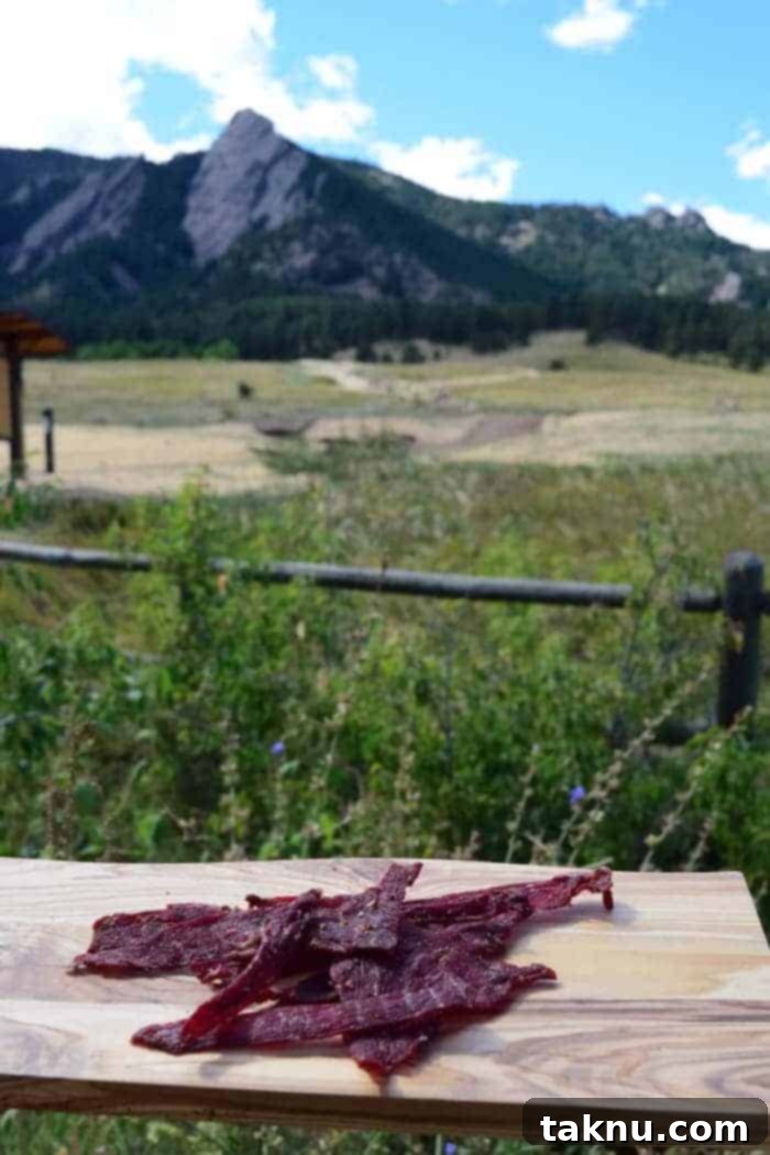 This fresh garden tasting beef jerky hits the spot when hiking the trails and getting out in nature | Jerkyholic.com