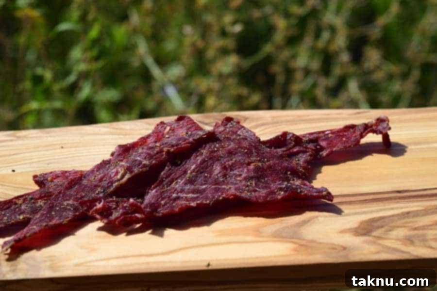 Garden Beef Jerky Finished - Delicious Homemade Snack