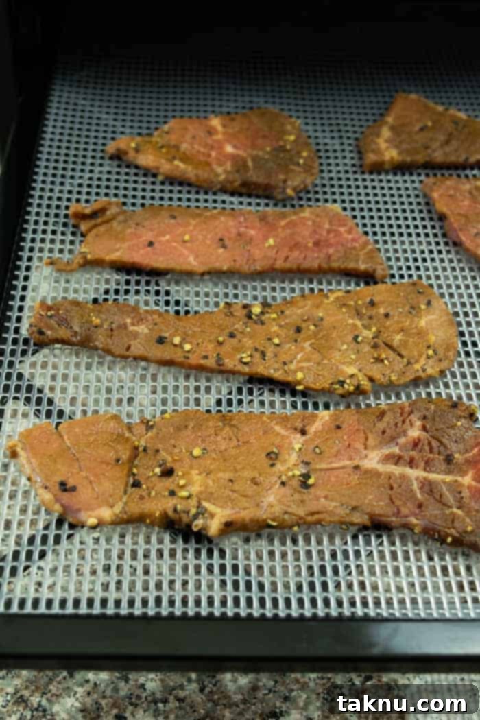 Crafting the Perfect Beef Jerky Marinade 8 jerky in dehydrator