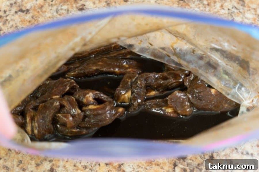 Dale's Steak Marinade Beef Jerky Marinating