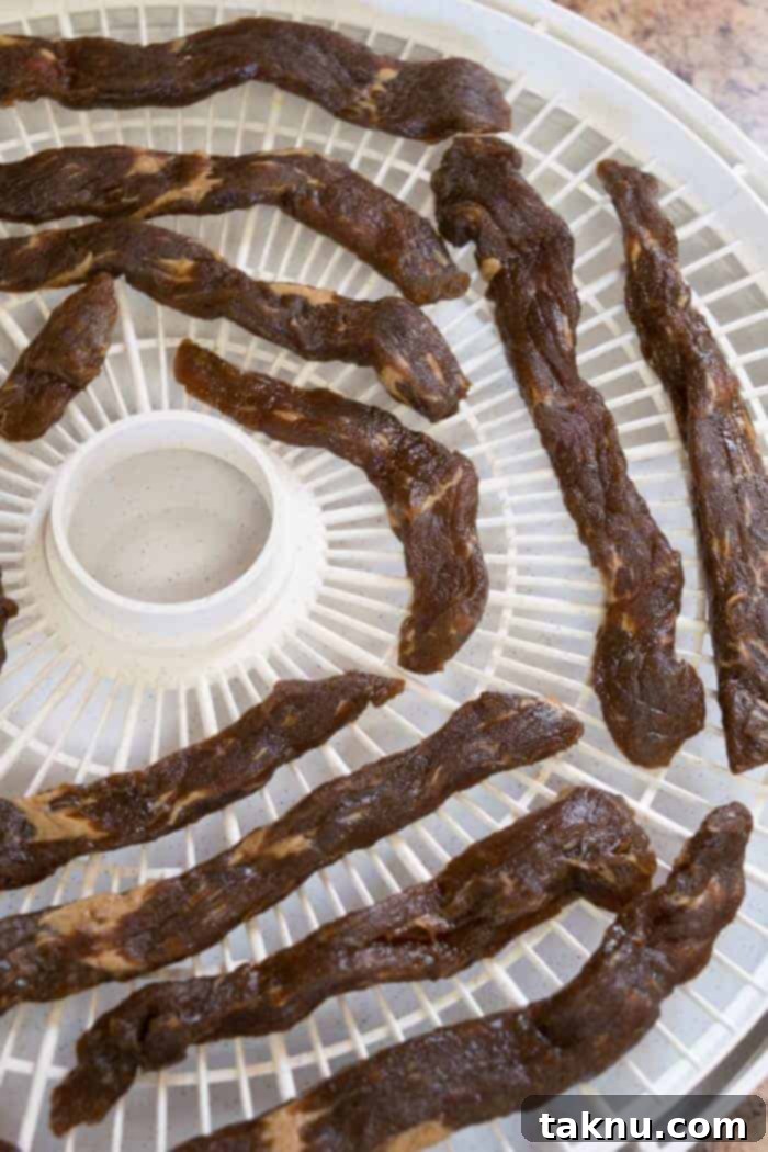 Dale's Steak Marinade Beef Jerky on Dehydrator