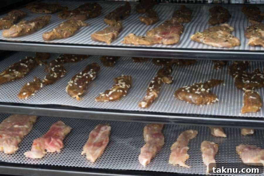 Korean BBQ Beef Jerky strips drying evenly in an Excalibur Dehydrator alongside other jerky experiments.