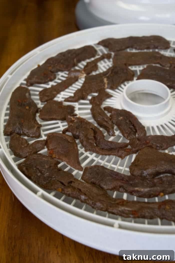 Reaper's Harvest Elk Jerky 6 Spicy elk jerky drying on a Nesco dehydrator rack
