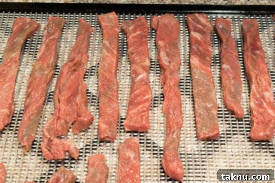 Margarita Lime Beef Jerky 6 Close up view of margarita beef jerky on dehydrator trays