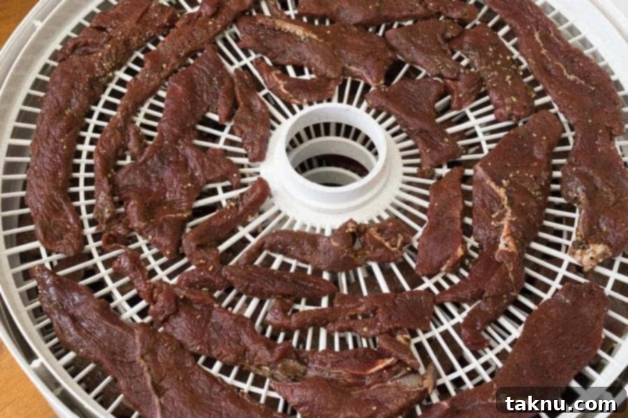 Elk Bugle Jerky 6 Elk jerky strips laid out on dehydrator trays