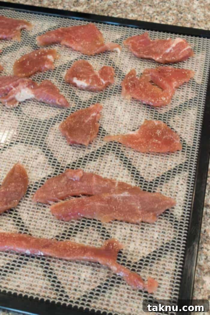 Sweet Maple Pork Jerky on Dehydrator tray