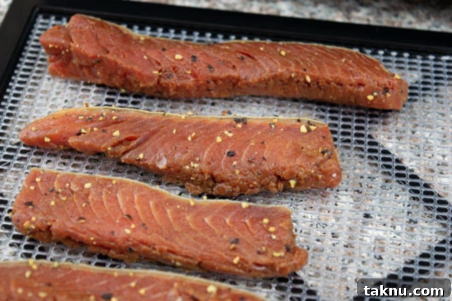 Salmon jerky strips neatly arranged on a dehydrator tray