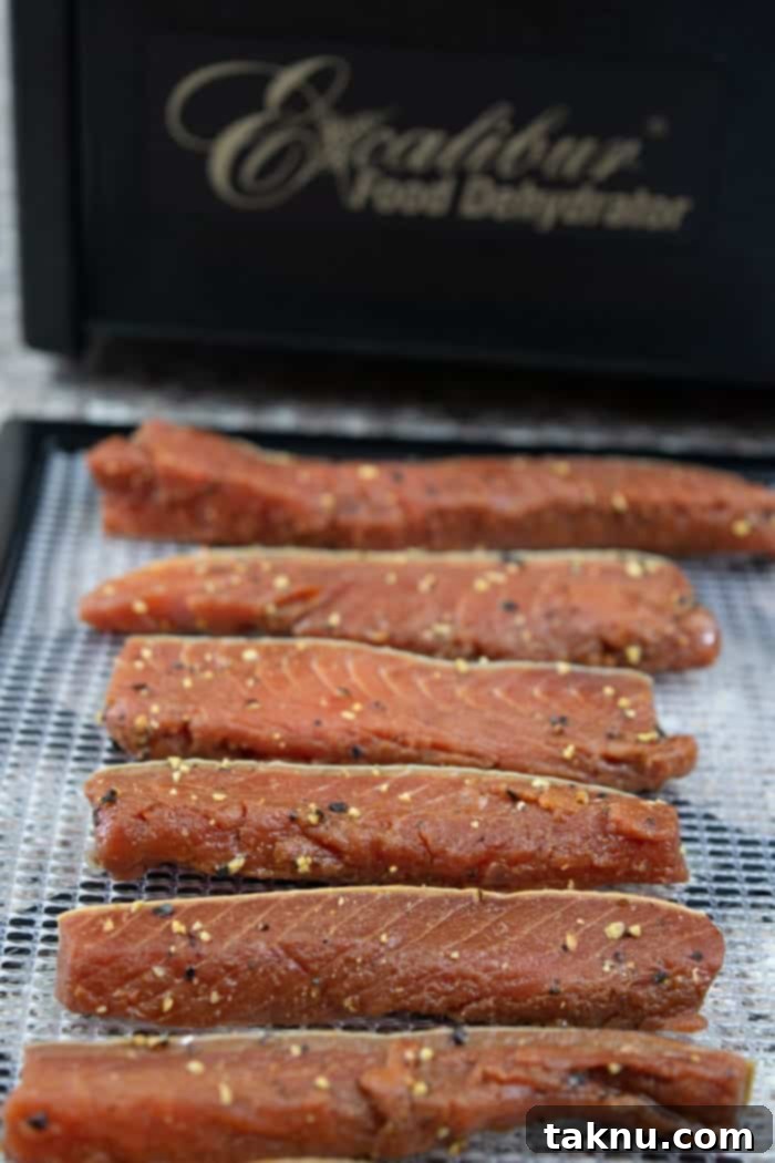 Abundant tasty salmon jerky laid out on dehydrator racks