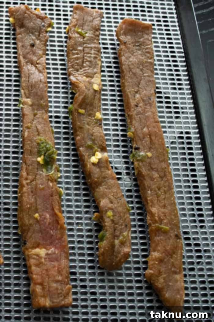 Jalapeño beef jerky strips meticulously arranged on dehydrator trays, ready for the drying process