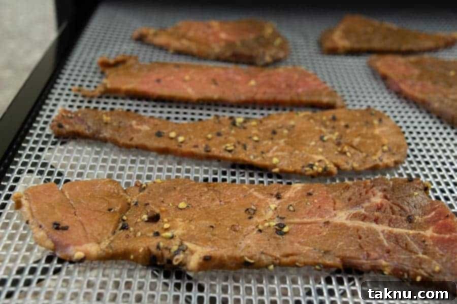 Beef jerky strips neatly arranged on dehydrator trays, ready for drying