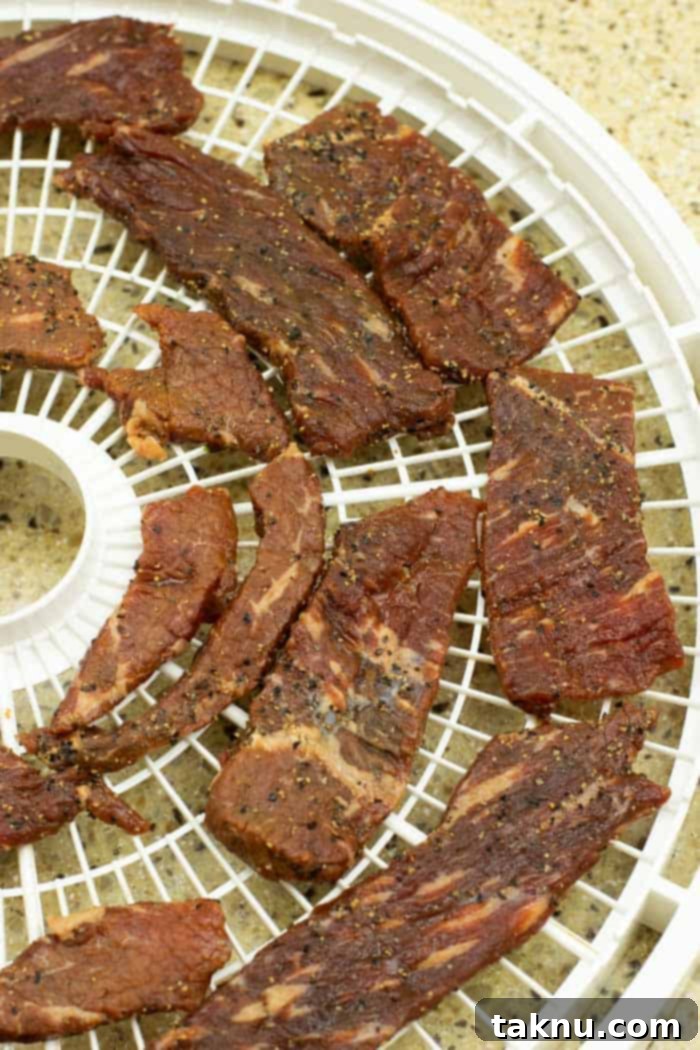 Kikkoman Glazed Teriyaki Beef Jerky 10 Beef Jerky on dehydrator tray