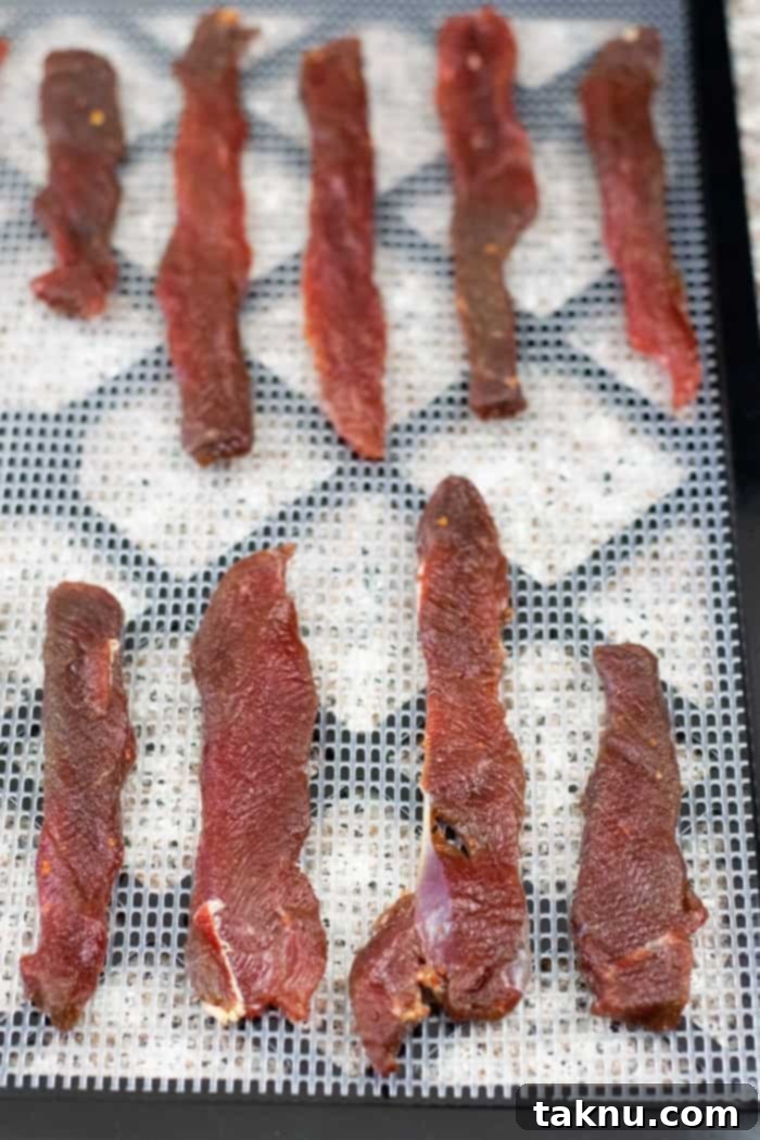 Deer jerky on dehydrator trays ready to be dried