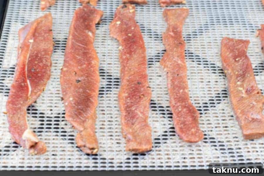 Twisted Venison Jerky 11 Deer jerky on dehydrator tray