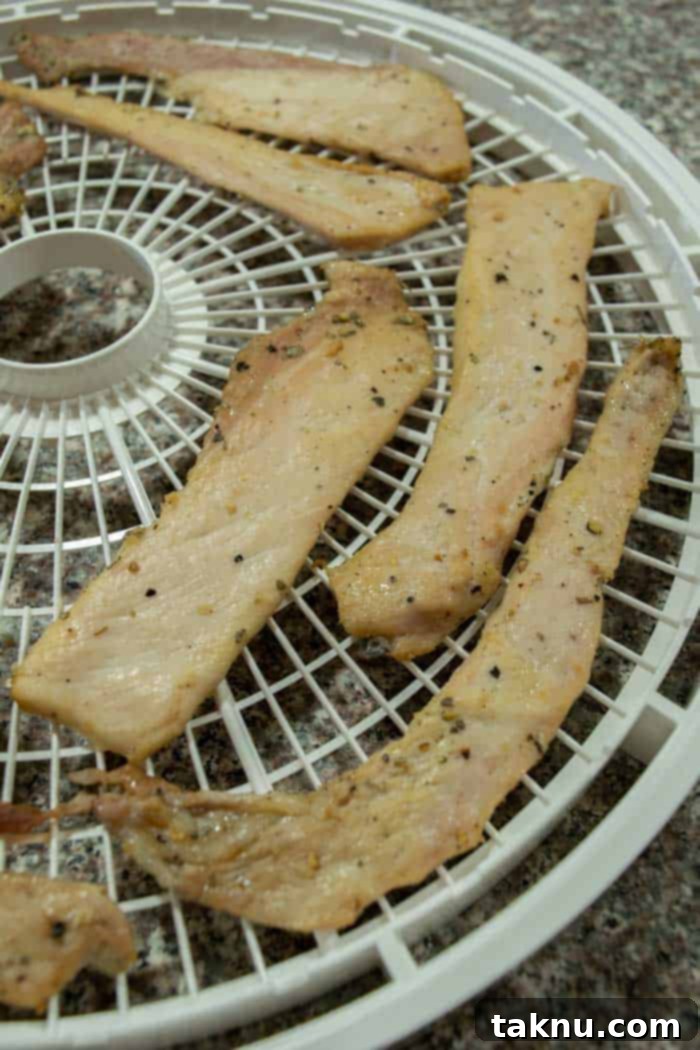 Apple sage pork jerky on dehydrator trays
