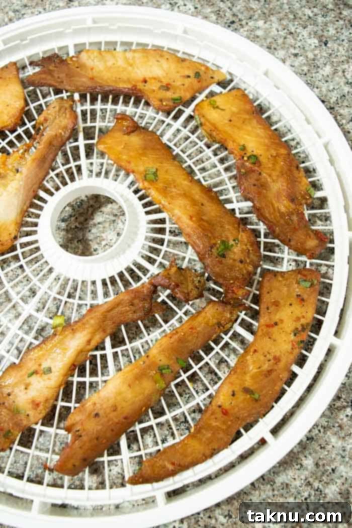 korean bbq pork jerky on dehydrator rack