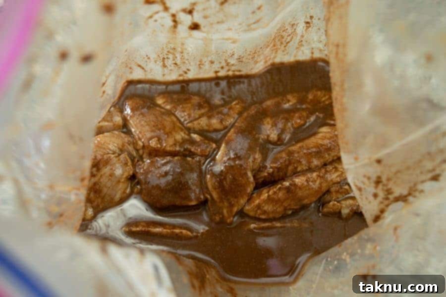 Indulgent Mole Turkey Jerky 5 Mole turkey jerky in ziplock bag marinating