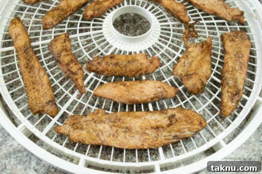 Indulgent Mole Turkey Jerky 9 Mole drying on dehydrator trays