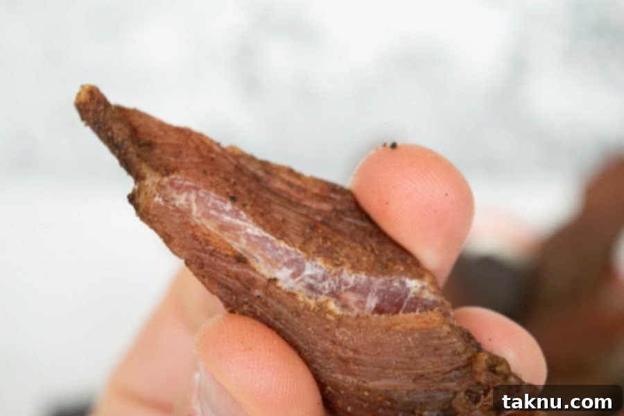 Indulgent Mole Turkey Jerky 10 Mole turkey jerky finished with white fibers showing when bent