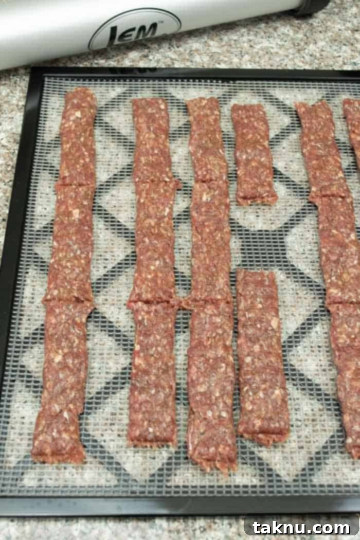 Ground jerky strips on dehydrator tray