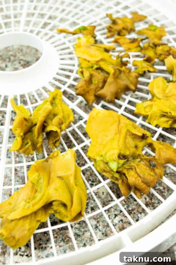 Umami Mushroom Jerky 10 Marinated and patted-dry mushroom jerky pieces meticulously arranged in a single layer on dehydrator trays, ready for drying.