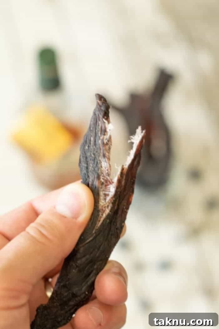 Blueberry Bourbon Marinated Venison Jerky 12 A finished deer jerky strip, bent to reveal the desirable white fibers, indicating perfect doneness.