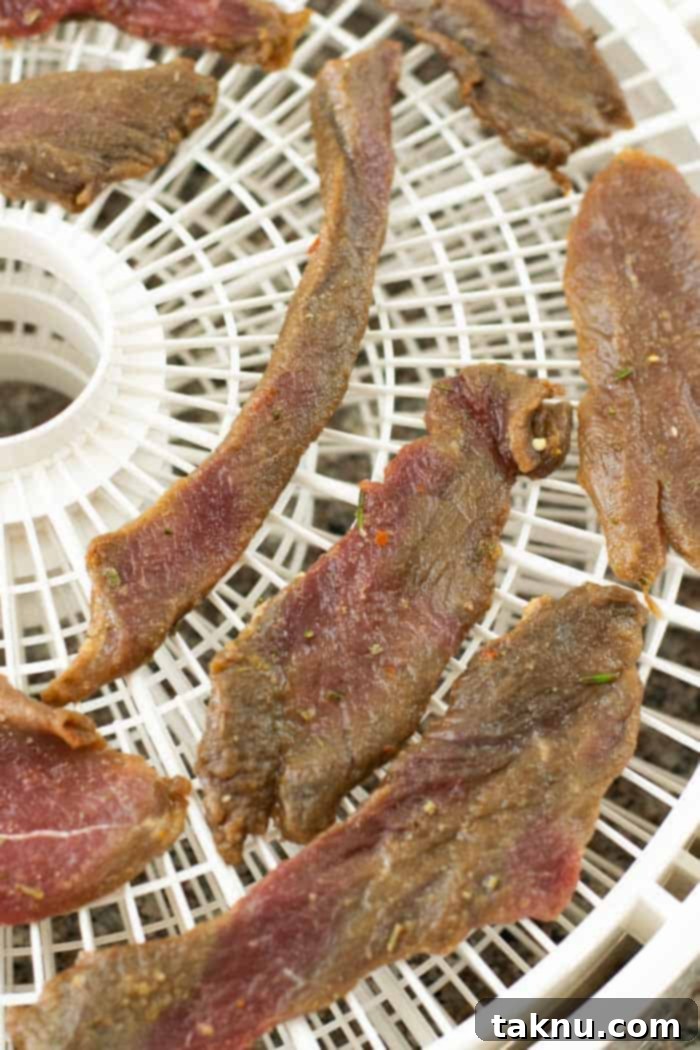 Venison jerky on dehydrator trays