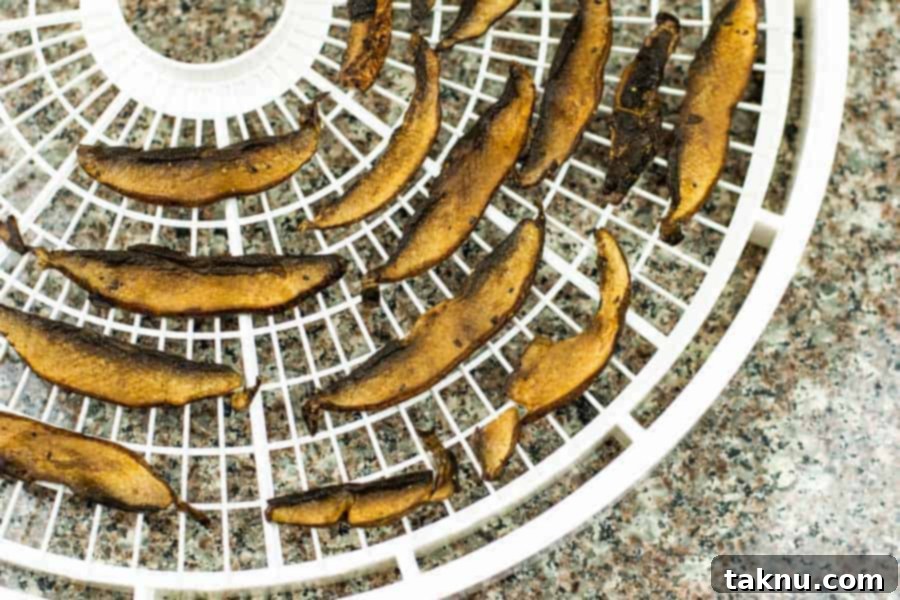 sliced mushrooms on tray of dehydrator on table