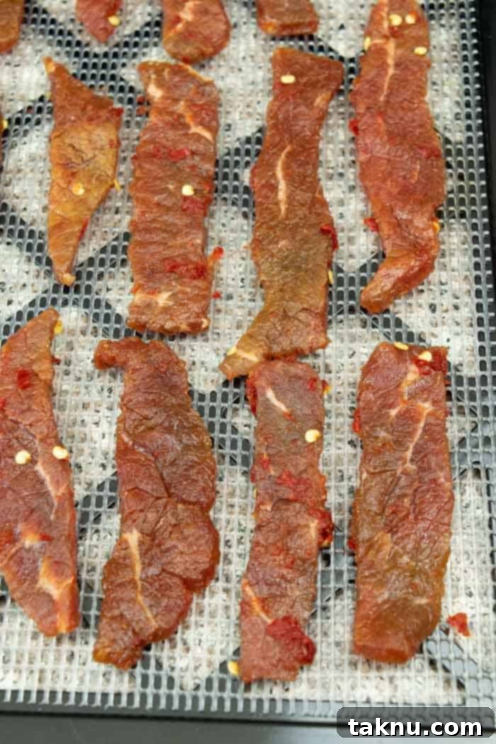 Blazing Cherry Beef Strips 12 Jerky on dehydrator tray