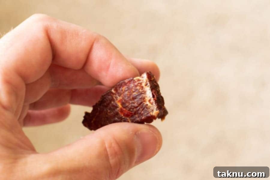 Blazing Cherry Beef Strips 14 Beef jerky bent in half showing white fibers