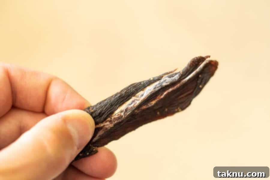 A finished deer jerky strip bent in half, showing the ideal bend-and-crack texture.